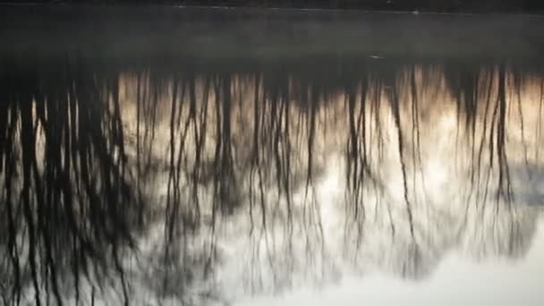 Time-lapse. Weerspiegeling van bomen in het water bij dageraad — Stockvideo