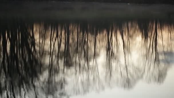 Time-lapse. Weerspiegeling van bomen in het water bij dageraad — Stockvideo