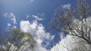 Hızlandırılmış. Bulutlar Nehri üzerinde çalışan.