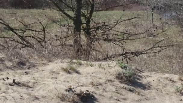 Un laps de temps. Des nuages coulent sur la rivière .