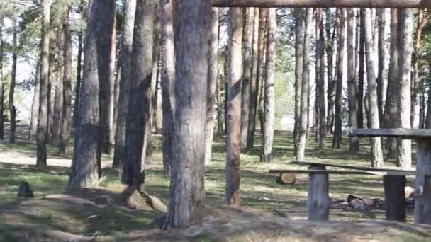 El campamento forestal de los Boy Scouts — Vídeo de stock