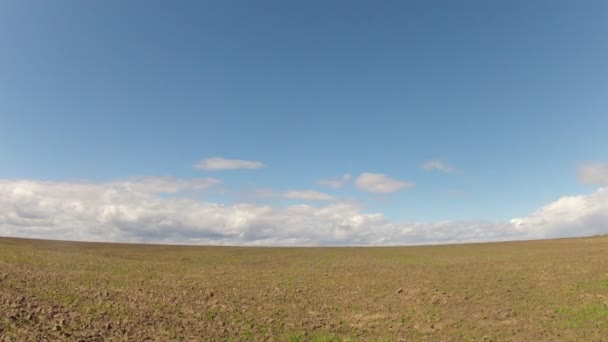 Zeitraffer. Feld gegen den Himmel mit Wolken im Frühling — Stockvideo