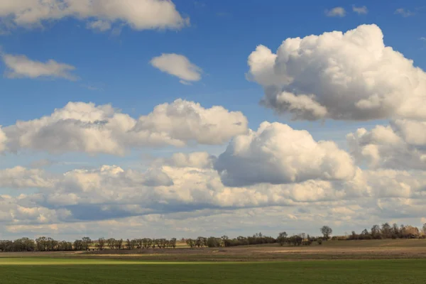 Поле проти неба з хмарами навесні — стокове фото