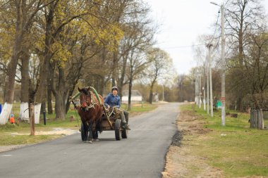 Gomel, Beyaz Rusya - 19 Nisan 2017: Villehage bir at ile bir araba sürmek.