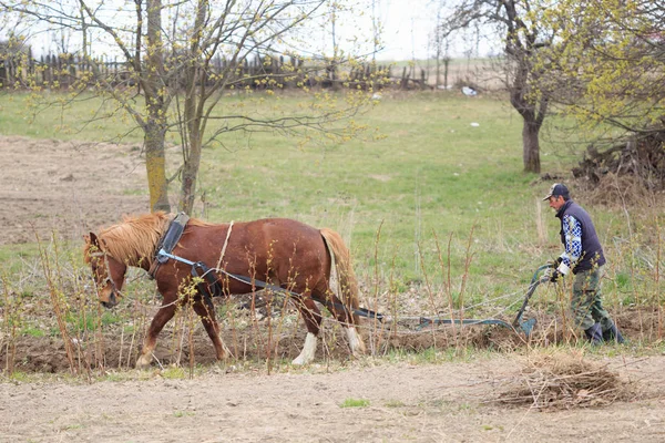 Bir adam yere bir pulluk ile atını altında pulluklar