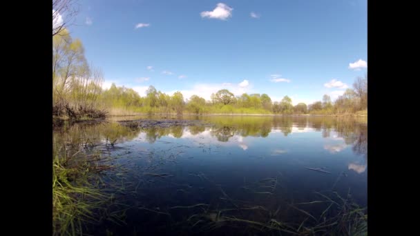 Antenne: schöner sonniger Wald im zeitigen Frühling — Stockvideo