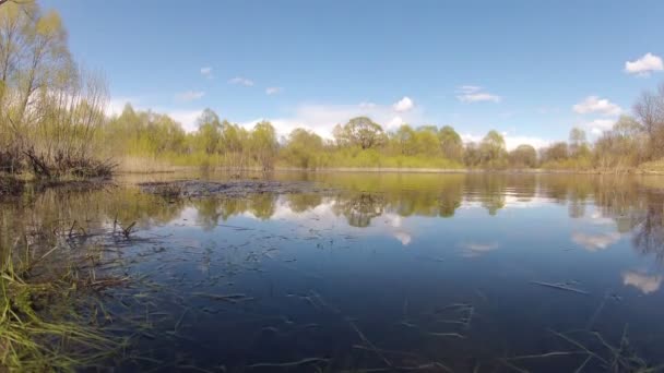 Antenn: Vackra soliga skogen tidigt på våren — Stockvideo
