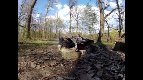 Falò sotto gli alberi nella foresta — Video Stock