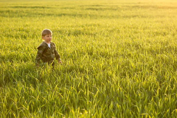 Dziecko na łące w wysokiej trawie o zachodzie słońca. — Zdjęcie stockowe