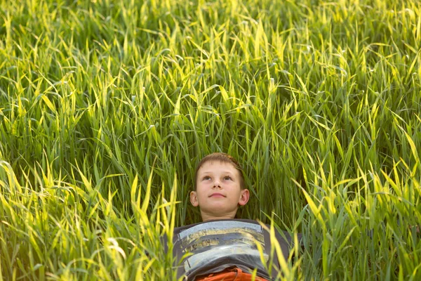 Niño en el prado en la hierba alta al atardecer . — Foto de Stock