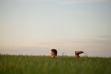 Genç uzun otların arasında günbatımında yatıyor.