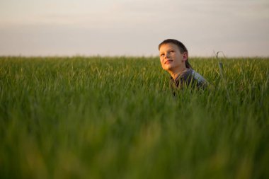 Genç uzun otların arasında günbatımında yatıyor.