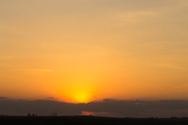 Kırmızı güneş batımında ufukta bahar