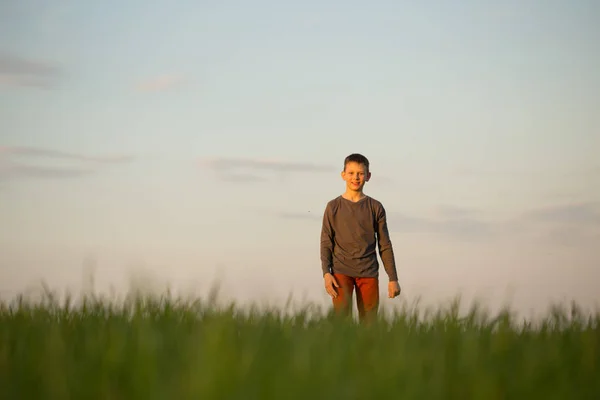 Teenager stojí ve vysoké trávě při západu slunce — Stock fotografie