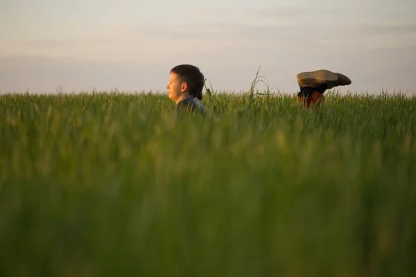 Підліток лежить у високій траві на заході сонця — стокове фото