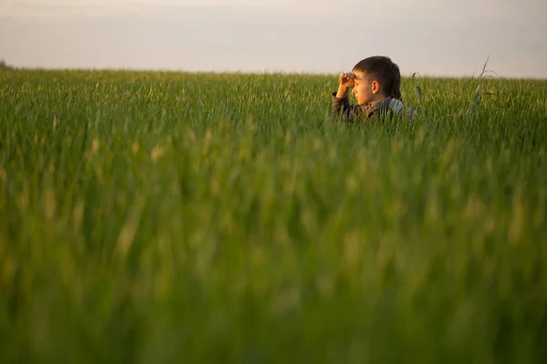 L'adolescente giace nell'erba alta al tramonto — Foto Stock