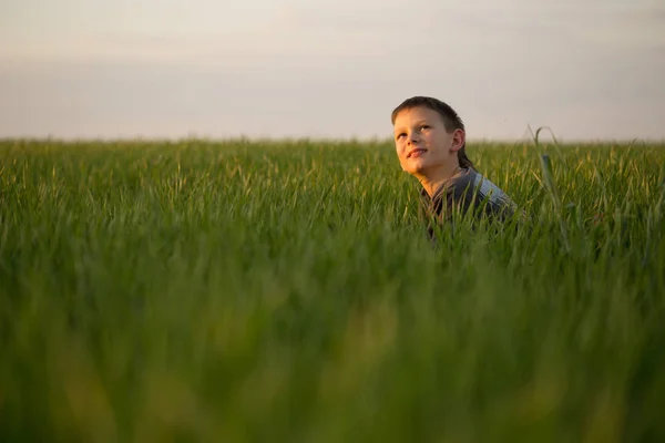 De tiener ligt in het hoge gras bij zonsondergang — Stockfoto