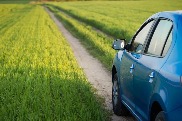 GOMEL, BELARUS - 6 de maio de 2017: carro azul Renault Logan estacionado em um campo em uma estrada rural . — Fotografia de Stock