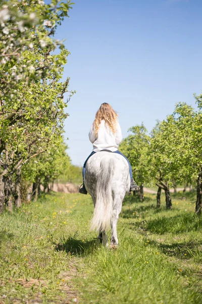 Menina bonita montando um cavalo em um cavalo branco no jardim — Fotografia de Stock