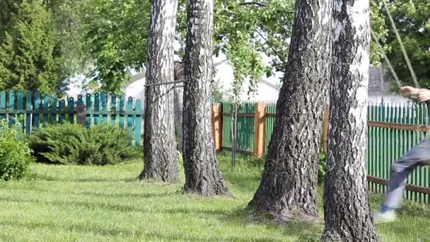 Хлопчик їде на гойдалці серед берези — стокове відео