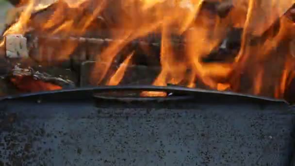 En stor eld brinner i grillen — Stockvideo