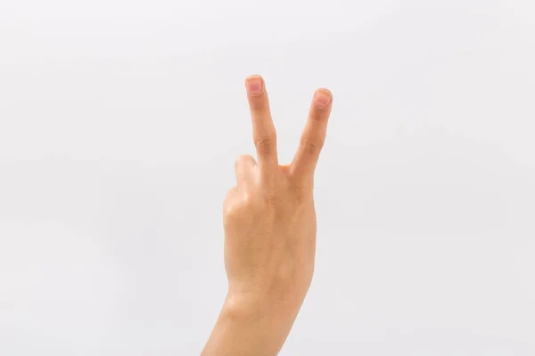 Manos femeninas sobre fondo blanco. Gestos — Foto de Stock