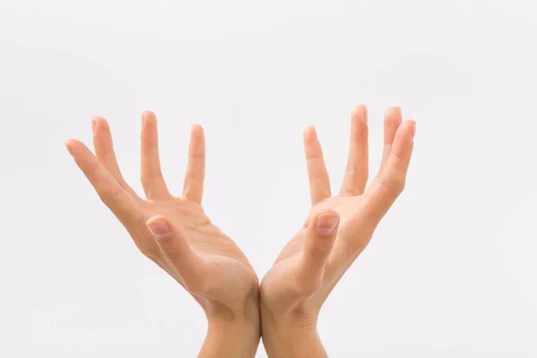 Mãos femininas sobre um fundo branco. Gestos — Fotografia de Stock