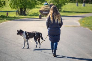 Bir köpek bir yürüyüş ile güzel kız.
