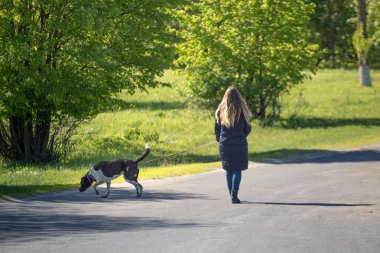 Bir köpek bir yürüyüş ile güzel kız.