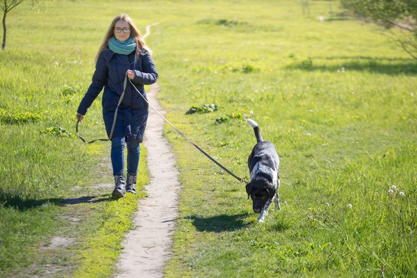 Bella ragazza con un cane a piedi . — Foto Stock