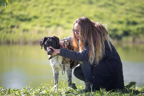 Bir köpek bir yürüyüş ile güzel kız.