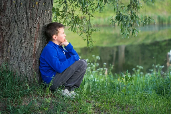Мальчик сидит у большого дерева . — стоковое фото