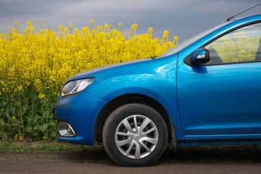 Gomel, Beyaz Rusya - 24 Mayıs 2017: mavi araba kolza tohumu sahada duruyor.