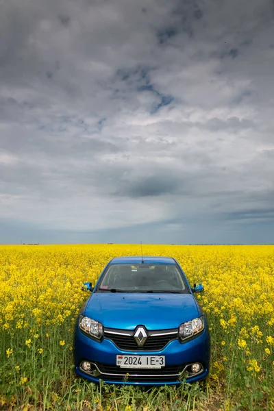 Gomel, Wit-Rusland - 24 mei 2017: de blauwe auto wordt geparkeerd op het veld van koolzaad. — Stockfoto