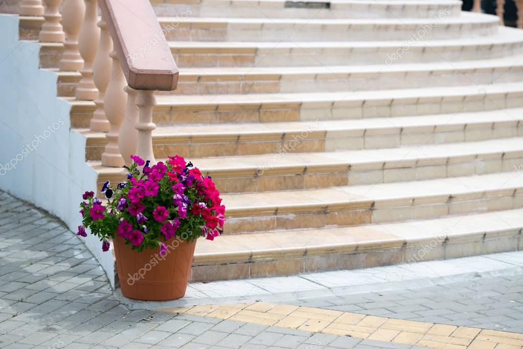 Marble staircase with railing and flower garden.