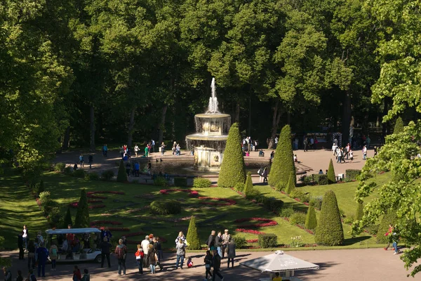 St. Petersburg, Rosja - 28 czerwca 2017: kaskady fontanny w Peterhof w Petersburgu Petersburg. — Zdjęcie stockowe