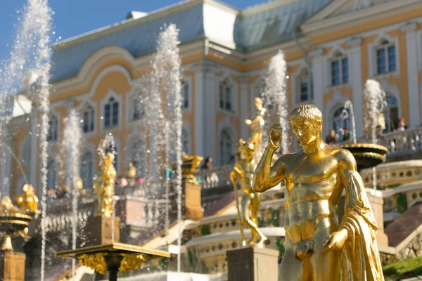 St. Petersburg, Rusya - 28 Haziran 2017: Peterhof Petersburg St Petersburg pınarlarına çağlayan.
