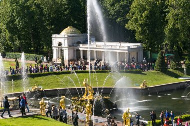 St. Petersburg, Rusya - 28 Haziran 2017: Peterhof Petersburg St Petersburg pınarlarına çağlayan.