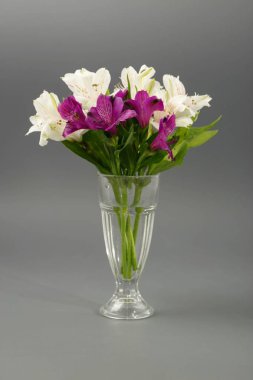 Çiçekler beyaz zambaklar gri bir arka plan üzerinde