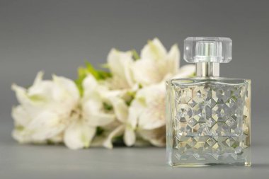 Çiçekler beyaz zambaklar ruhları bir cam şişe gri bir arka plan üzerinde.