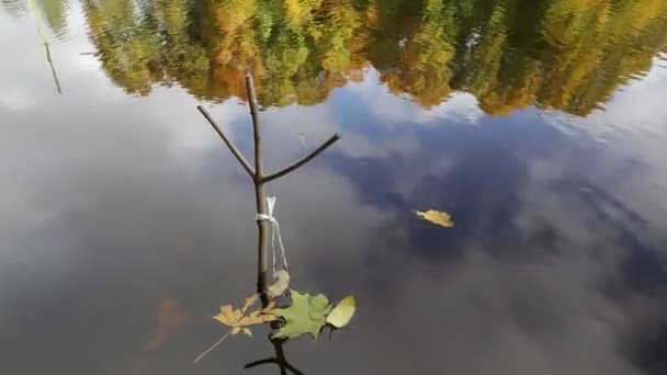 Feuilles d'automne sur l'eau. fermeture de la saison de pêche . — Video