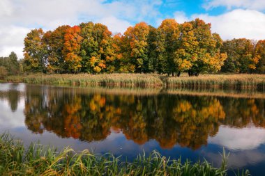 Göl sonbahar ormanda yansıman.