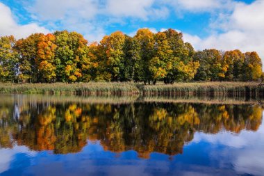 Göl sonbahar ormanda yansıman.