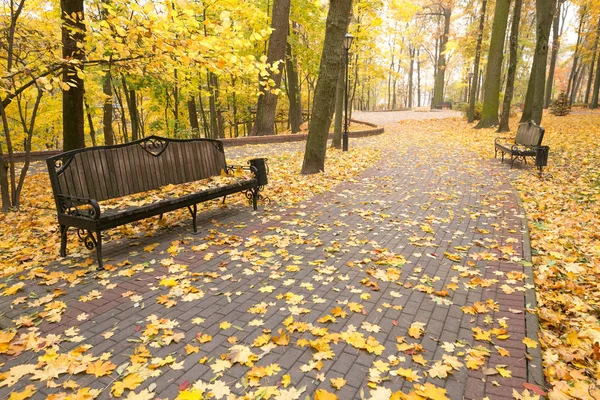 Kent parkta güzel altın sonbahar — Stok fotoğraf