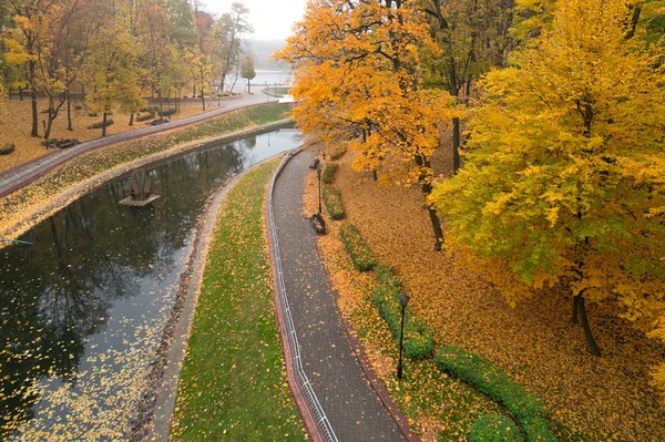 Belo outono dourado no parque da cidade — Fotografia de Stock