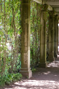 vahşi yeşil üzüm ile örgülü mermer tokalar