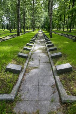 Petersburg, Rusya - 2 Temmuz 2017: Piskaryovskoye memorial mezarlığı. Askerler ve Leningrad Kuşatması kurbanlarının toplu mezar yeri.