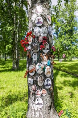Petersburg, Rusya - 2 Temmuz 2017: Piskaryovskoye memorial mezarlığı. Askerler ve Leningrad Kuşatması kurbanlarının toplu mezar yeri.