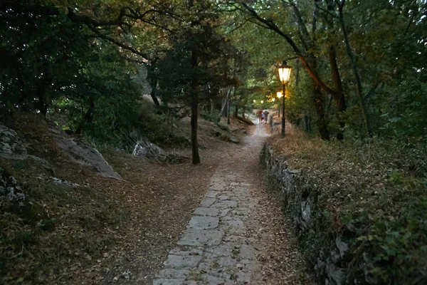 Przytulne Ciemny zielony cichej alejce z latarniami. — Zdjęcie stockowe