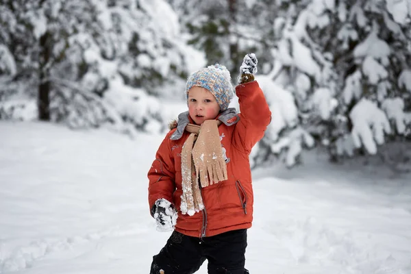 Diversión invernal. el niño solo deambula por el bosque nevado de invierno . — Foto de Stock